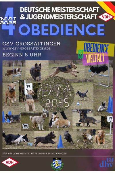 Plakat 2025 DM Obedience